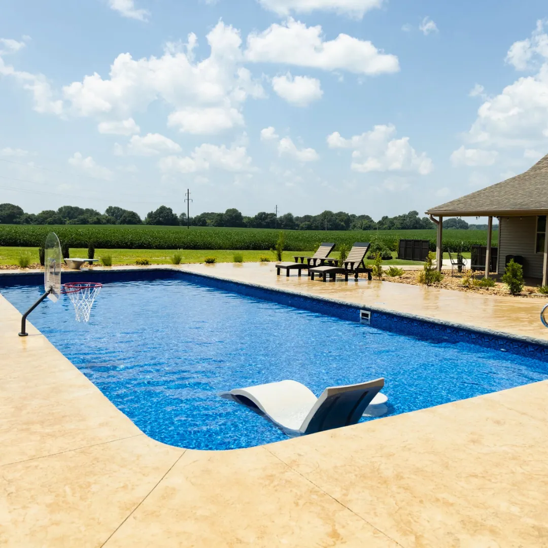 Carolina Arctic installation 1