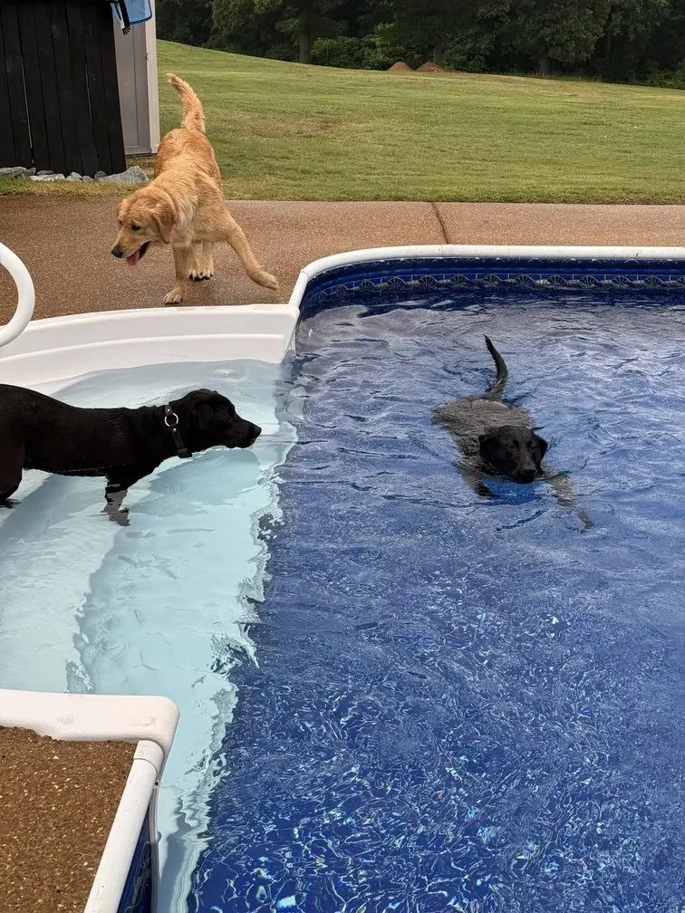 Evening Star installation 4